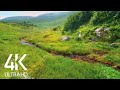 8HRS Soothing Mountain River Sounds for Sleep and Relaxation - Apshynets River, Carpathian Mountains