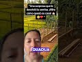El sueño de todo dueño de casa😱...