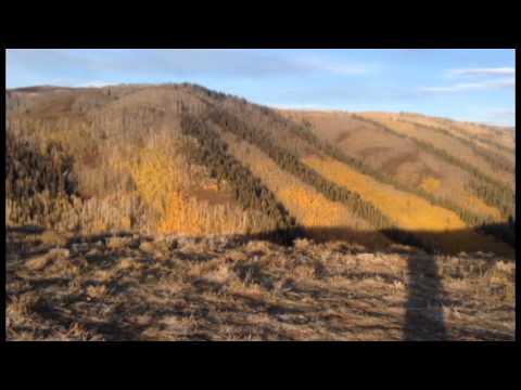 Leica Entfernungsmesser Rangemaster Crf 1600 R : Leica rangemaster b follow up field review youtube