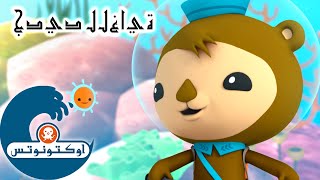 17 أوكتونوتس | قنديل البحر الخالد |السلسلة 3 | الحلقة