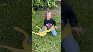 KAMYLINHA SE ASSUTA COM A BOCA DA COBRA GELADA 🐍😨 @oieuro