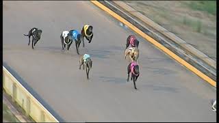 SHP MON 19 NOV 18 R4