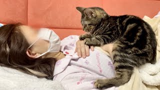 寝落ちした飼い主が冷えないようにお布団代わりになって暖めてくれる子猫