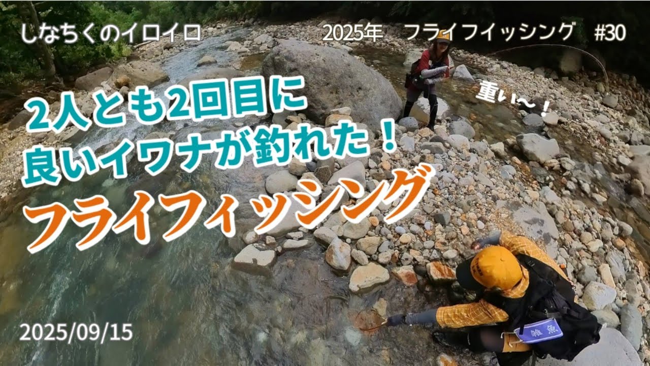 2人とも2回目に良いイワナが釣れた！ フライフィッシング（2025/09/15）