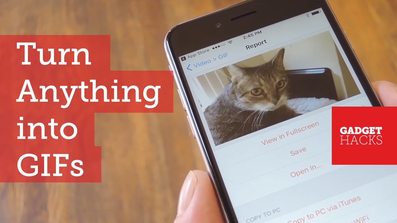 Convert Almost Anything Into A Gif Using Your Iphone How To