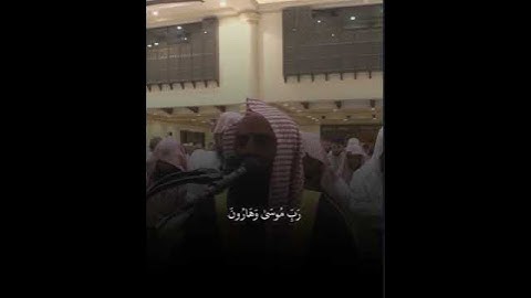 تلاوات من سورة الشعراء #محمد_اللحيدان #اكسبلورهاشتاقات #قرآن_كريم #قرآن #قران_كريم