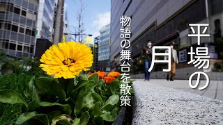 【平場の月】今回は池袋のロケ地を散策してきました。大人の恋愛小説