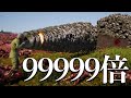 【UEBS2】最強チート武器"投石ショットガン" - Ultimate Epic Battle Simulator 2