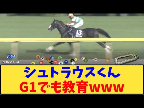 【競馬】｢シュトラウスくんG1でも教育www」に対する反応【反応集】