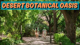 Exploring Arizona's Oldest (Botanical Garden)