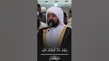 ماتيسر من سورة الحشر l هيثم الدخين