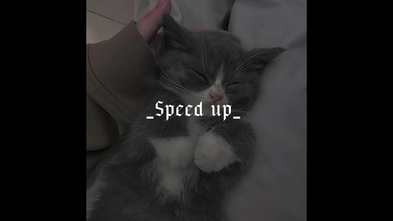 Тебя хоть любят лелеют целуют. Тебя хоть там любят. Тебя хоть там любят мария чайковская. Ах астахова стихи тебя хоть там любят. Скажи тебя хоть там любят.