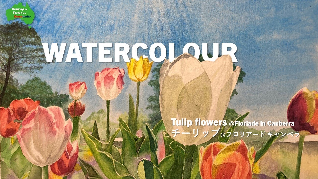 水彩画】チューリップ | Tulips - YouTube