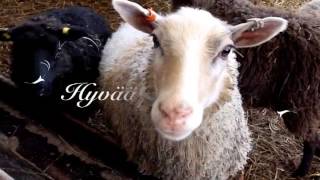 Hyvää Pääsiäistä