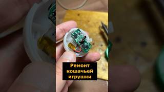 Ремонт кошачьей игрушки с моторчиком #игрушка #ремонт #кошачьи #сделайсам