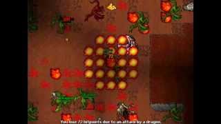 Stupid Death (Tibia)