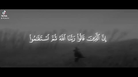 ياسر الدوسري - سورة فصلت