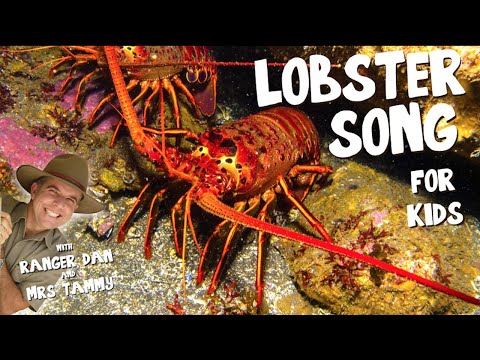 LOBSTER SONG FOR KIDS | Under the Sea Songs | Animal Songs | Kids Songs | Creation Connection