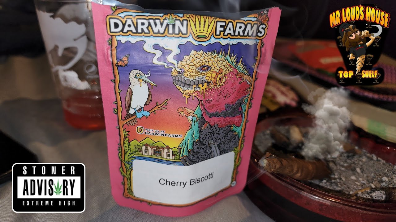 Darwin Farms Cherry Biscotti Strain Review Demppls Mr.LoudsHouse