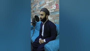سورة الشمس " القارئ سوران صديق
