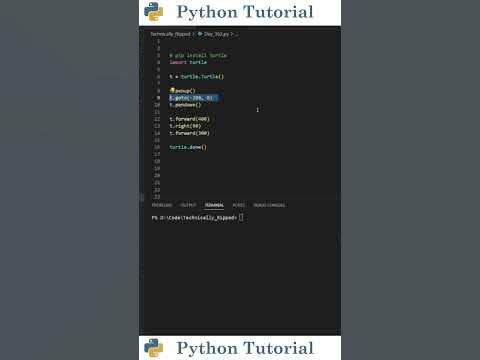 How To Create Graphics With Turtle | Python Tutorial - YouTube