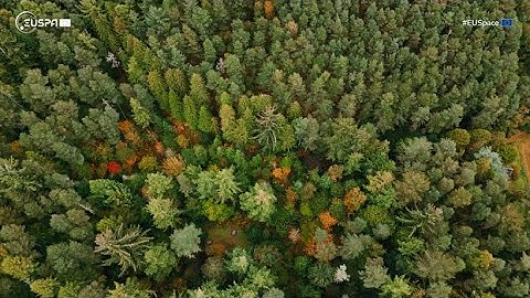 Unlocking the Power of Copernicus for Parametric Insurance | AXA Climate