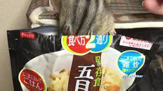 【動画No.0945】保存食「五目ご飯」マロンくんも好物