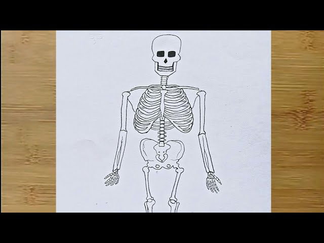 How to Draw Skeleton For Kids - DrawingNow