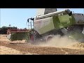 claas lexion 560 Harvesting Barley 2012.wmv