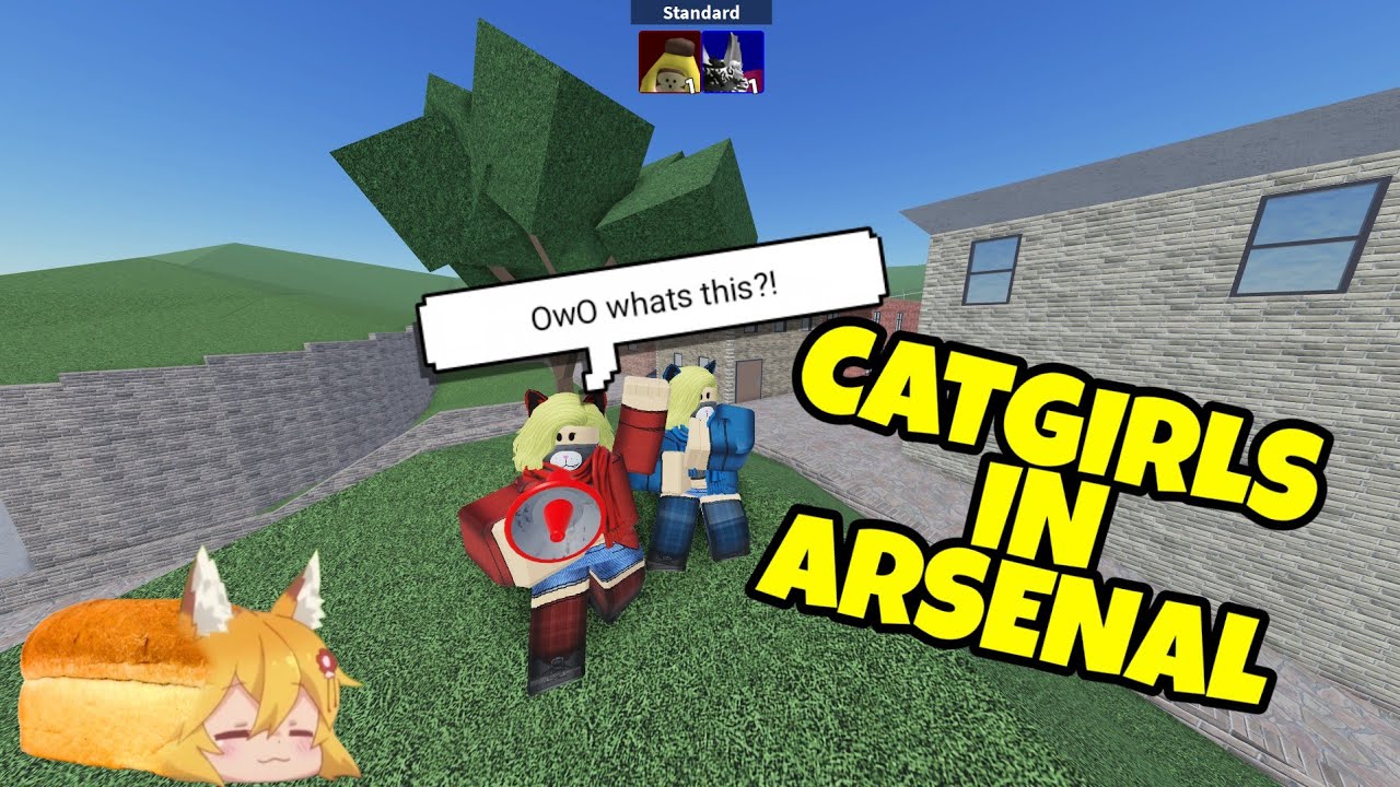 Catgirls In Arsenal Roblox Arsenal Youtube - ella and cotton candy girl catfight arsenal roblox