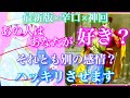 💕最新版×辛口×神回🍁ハッキリさせます!あの人はあなたのことが好き?それとも新たな感情が芽生えたのか?🦋