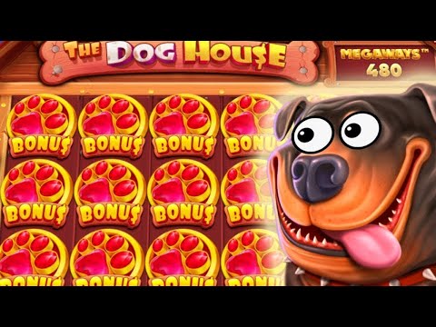 САМЫЙ ДОРОГОЙ БОНУС БАЙ?! ПОЙМАЛИ МАКСВИН?! слоты the dog house! заносы недели! олл ин all in
