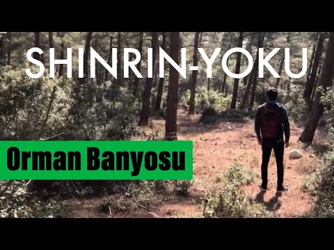 Orman Banyosu Yapmak