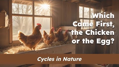 CKLA Grade 2 Domain 6 Lesson 6 Which Came First, the Chicken or the Egg?