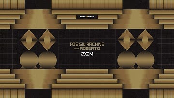 Fossil Archive aka Roberto - 2X2M