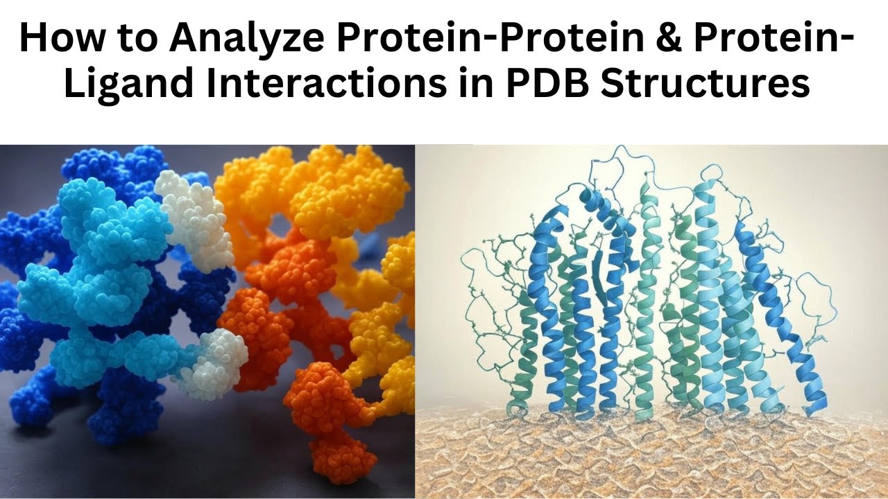 Как профессионально анализировать белок-белковые и лигандные взаимодействия
