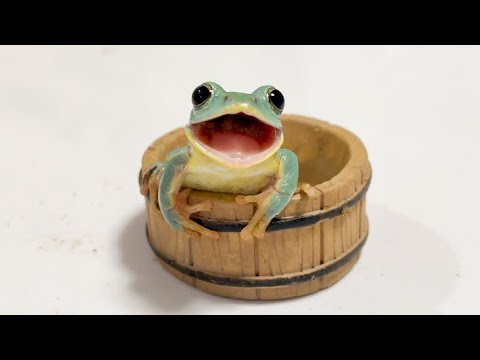 My Frog Is Just So Cute Look At Him Youtube