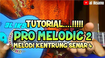 TUTORIAL PRO MELODIC 2 // KENTRUNG SENAR 4