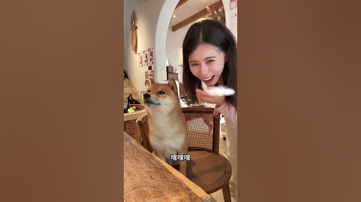 谁懂啊！！猫狗双全！#满分小折#小米mixflip2 #我家毛孩子申请出战
