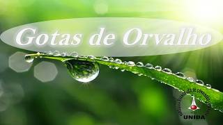 Gotas de Orvalho - 11 de Julho de 2026 - MEDITAÇÕES DIÁRIAS - Palavra de Deus para hoje.