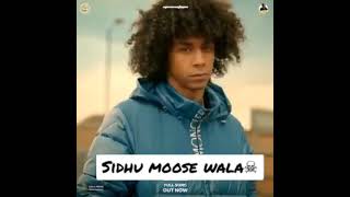 WhatsApp status (Sidhu moose wala) GOAT OUT Now