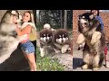 Ultimate Alaskan Malamute Dogs and Puppies pt 3 // Funny &amp; Cute TikToks
