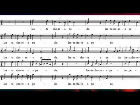 William Byrd - Laudibus in sanctis. Psalm 150