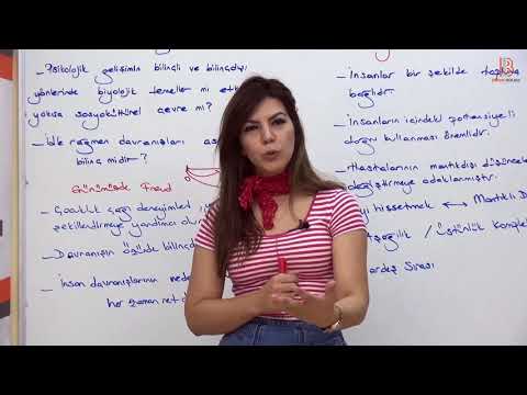 22)PDR/ Modern Psikanalitik Kuramlar - Ayşegül ALDEMİR (2018)