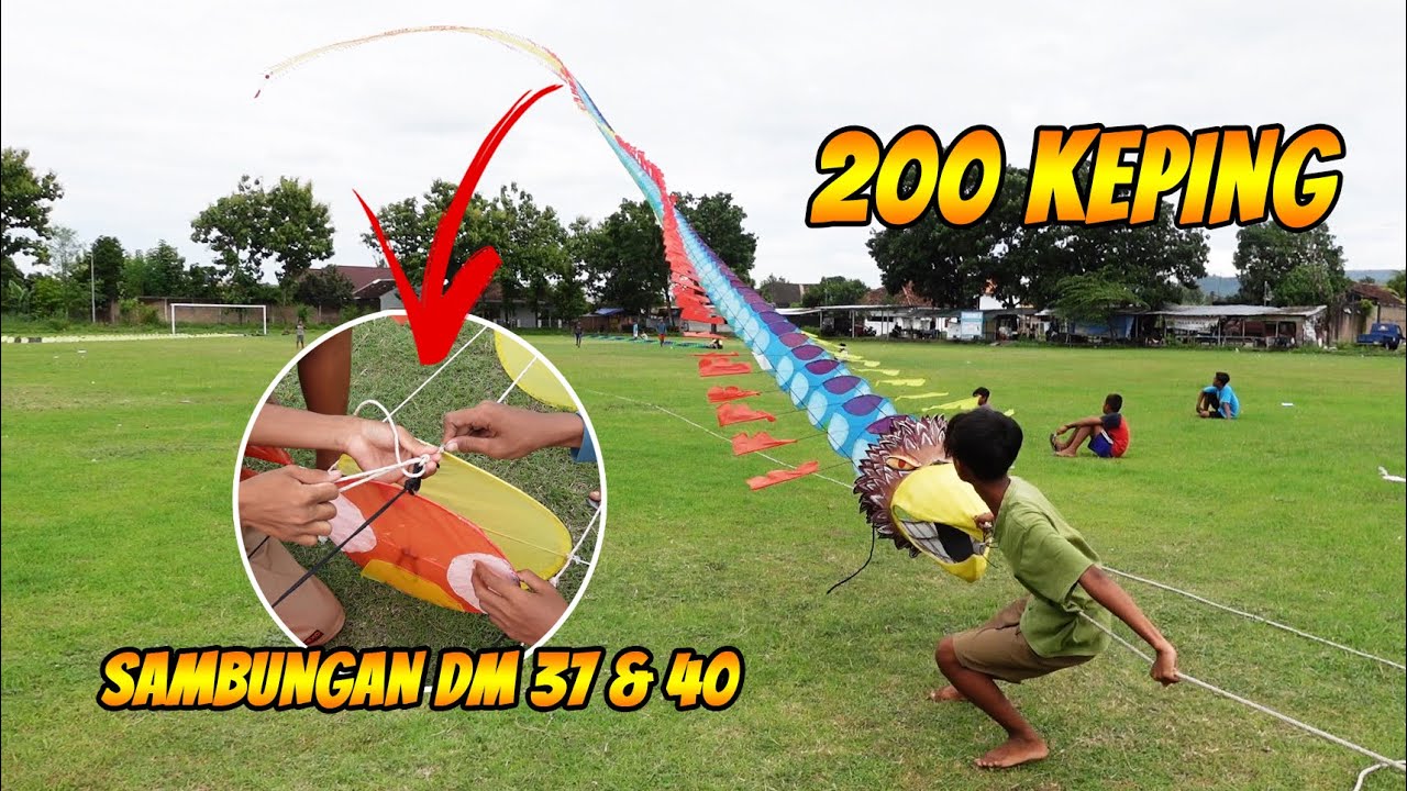 TES LAYANGAN NAGA KEPALA BURUNG ELANG 200 KEPING SAMBUNGAN BEDA DIAMETER