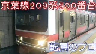 【1編成限定!!】京葉線209系500番台を乗り通してきた。