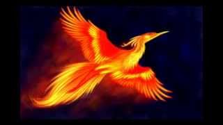 STRAVINSKY : Firebird Suite - Finale
