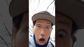 Download Lagu RUN MY DUDE RUN  #puns #remix #funny #hilarious #mustwatch MP3