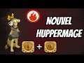 [2.52] LE NOUVEL HUPPERMAGE EN 1V1 : TROP DE BOUCLIERS??