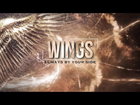 EXO 엑소 'Wings' Special Film【L-1485】Epic Aesthetic Edit//Happy EXOL Day! 7th Anniversary!